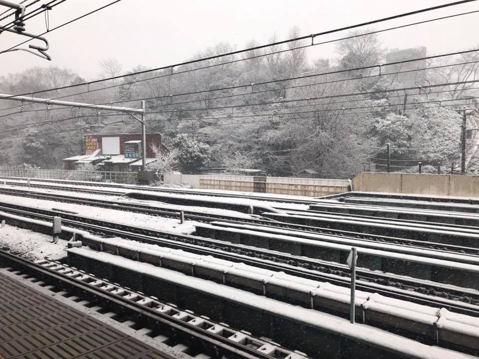 Những hình ảnh rùng mình trong bão tuyết kỷ lục tại Tokyo: Hàng trăm chuyến bay bị hủy, xe đạp đóng băng ngoài trời